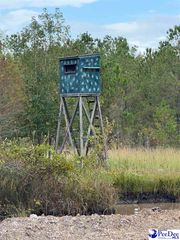 TBD Terrell’s Bay Road, Marion, SC 29571