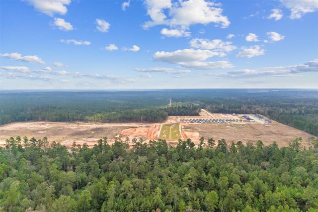 14526 William Trails Drive, Willis, TX 77378