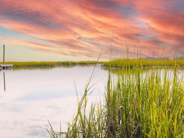 5 Turnbridge Ct., Murrells Inlet, SC 29576