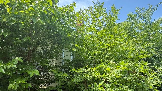 10802 W York House Road, Beach Park, IL 60087