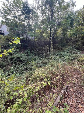 16 Temple Lane, Branson West, MO 65737