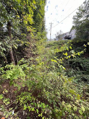 16 Temple Lane, Branson West, MO 65737