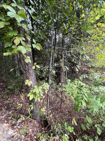 16 Temple Lane, Branson West, MO 65737