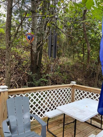 16 Temple Lane, Branson West, MO 65737