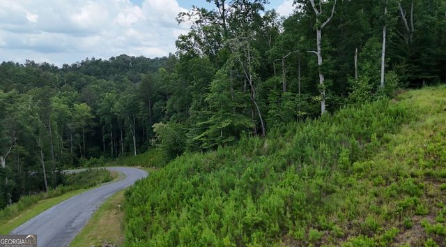 0 River View Trail LOT 264, Ellijay, GA 30540