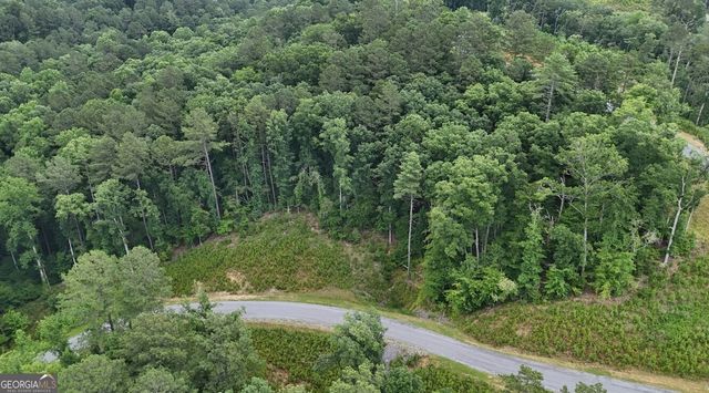 0 River View Trail LOT 264, Ellijay, GA 30540