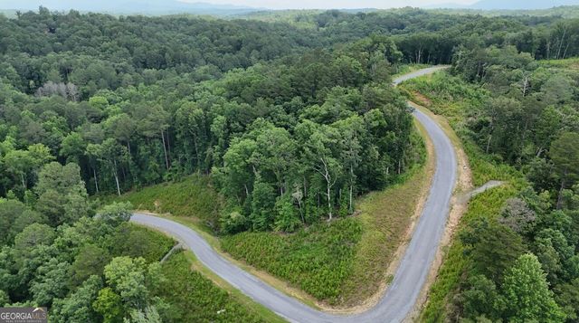 0 River View Trail LOT 264, Ellijay, GA 30540