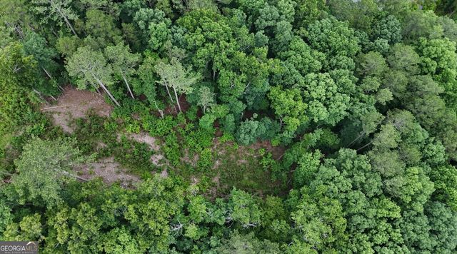 0 River View Trail LOT 264, Ellijay, GA 30540