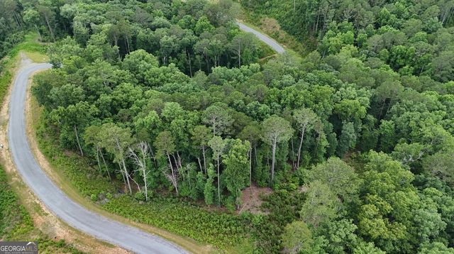 0 River View Trail LOT 264, Ellijay, GA 30540