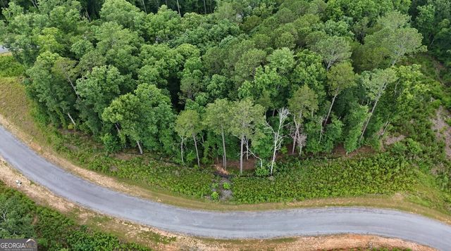 0 River View Trail LOT 264, Ellijay, GA 30540