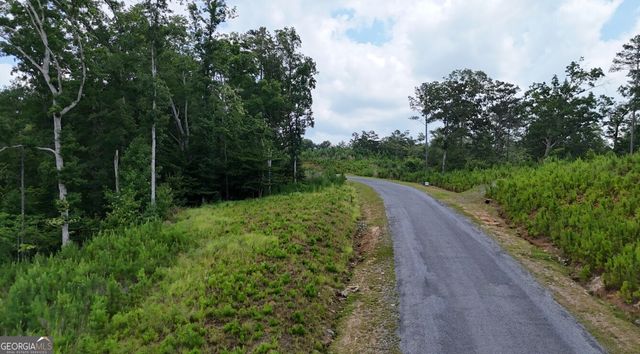 0 River View Trail LOT 264, Ellijay, GA 30540
