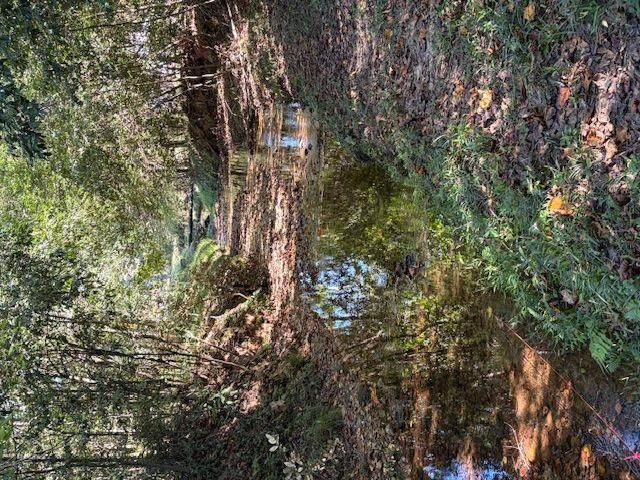 1120 Russell Drive, Griffin, GA 30224