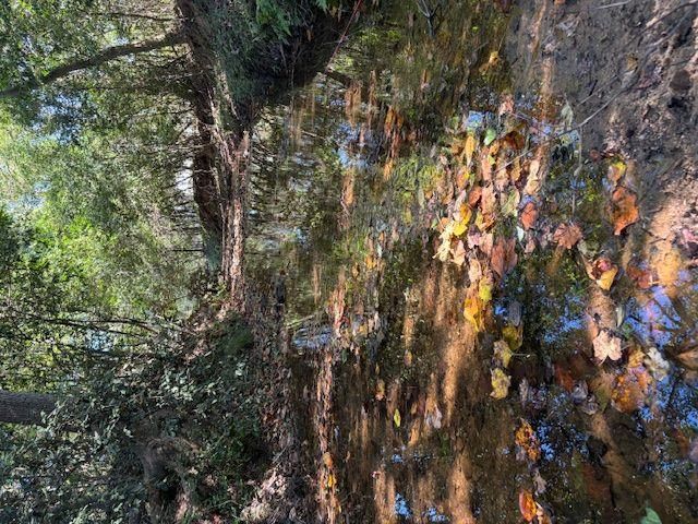 1120 Russell Drive, Griffin, GA 30224