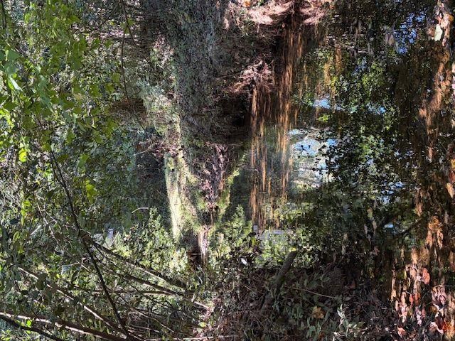 1120 Russell Drive, Griffin, GA 30224