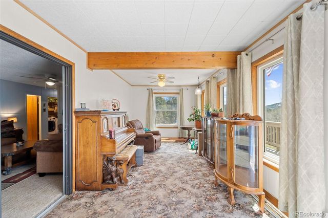 181 County Road 370, Rye, CO 81069