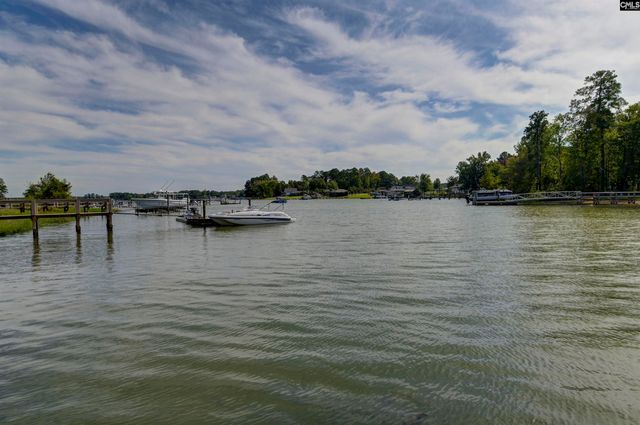 255 Pintail Lake Drive, Gilbert, SC 29054