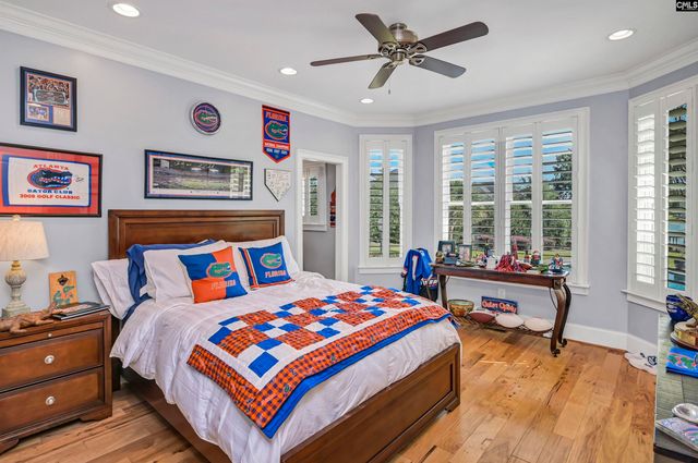 255 Pintail Lake Drive, Gilbert, SC 29054