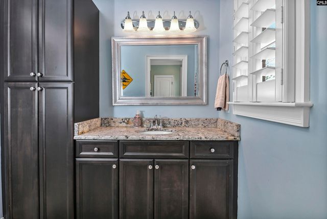 255 Pintail Lake Drive, Gilbert, SC 29054