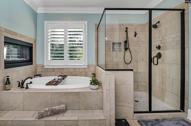 255 Pintail Lake Drive, Gilbert, SC 29054