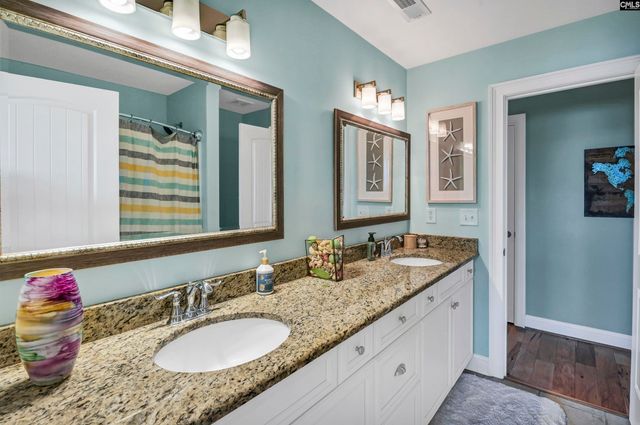 255 Pintail Lake Drive, Gilbert, SC 29054