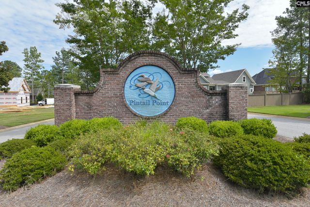 255 Pintail Lake Drive, Gilbert, SC 29054