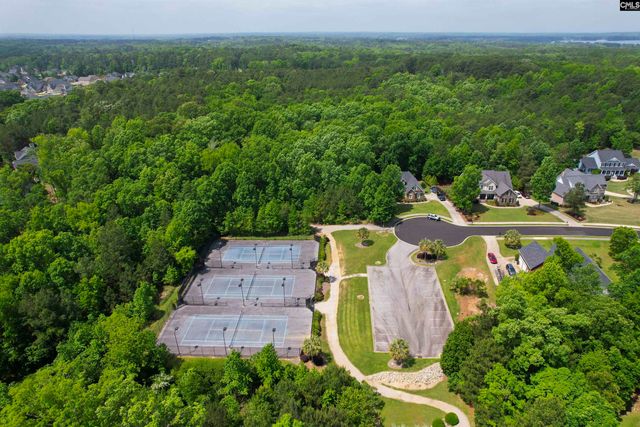 255 Pintail Lake Drive, Gilbert, SC 29054