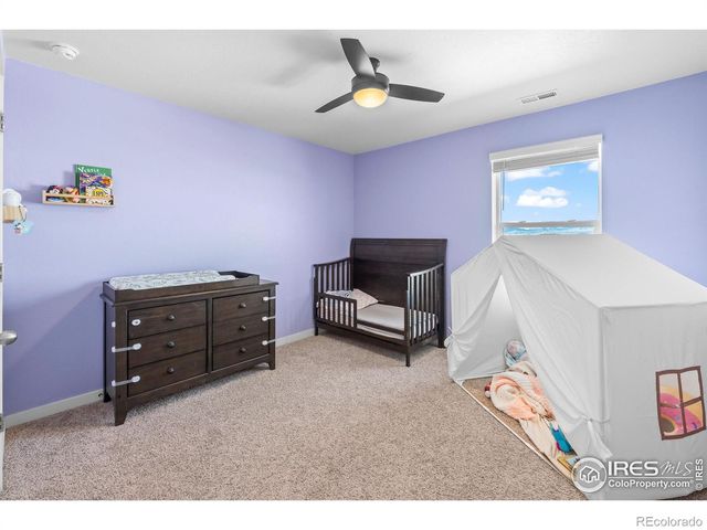 1255 Baker Pass Street, Severance, CO 80550