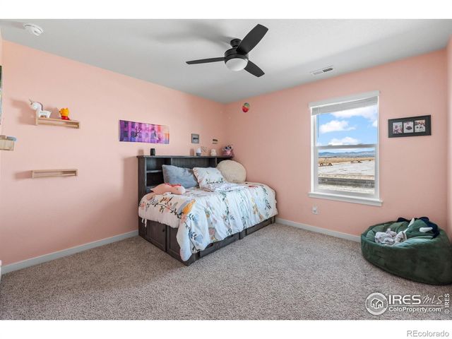 1255 Baker Pass Street, Severance, CO 80550