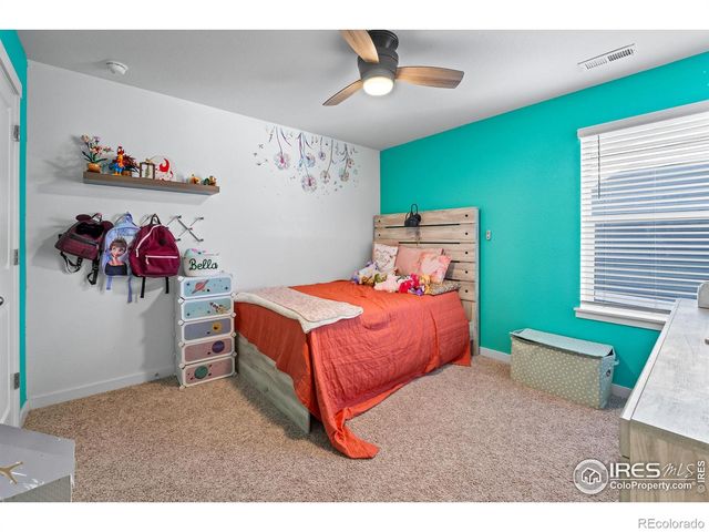 1255 Baker Pass Street, Severance, CO 80550