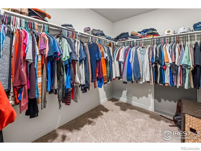 1255 Baker Pass Street, Severance, CO 80550