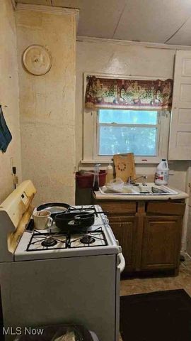 702 W Thornton Street, Akron, OH 44307