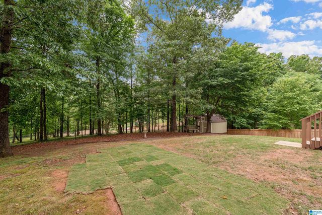 3160 CAHABA PARK DRIVE, Trussville, AL 35173