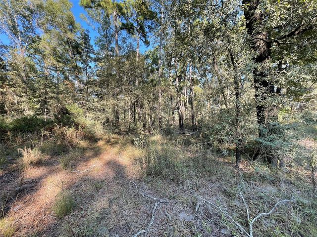 136 Forrestcrest Drive, Livingston, TX 77351