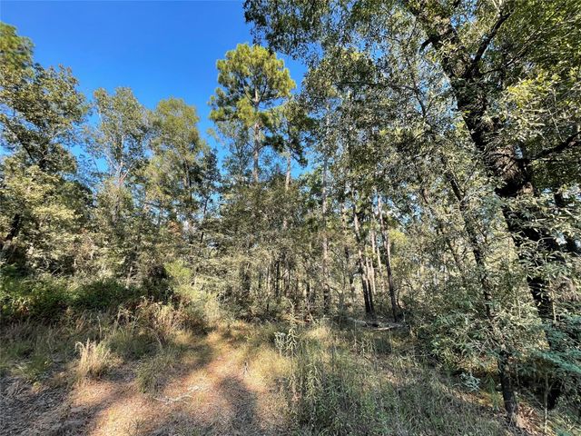 136 Forrestcrest Drive, Livingston, TX 77351