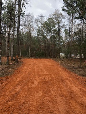 136 Forrestcrest Drive, Livingston, TX 77351