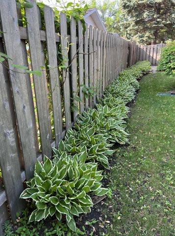 318 Dale Avenue, Moorhead, MN 56560