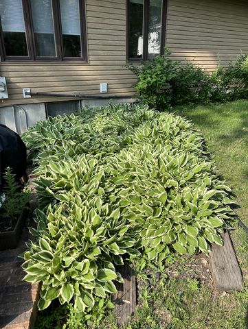 318 Dale Avenue, Moorhead, MN 56560