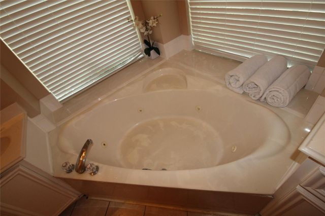 11406 Oak Lake Vista Court, Sugar Land, TX 77498