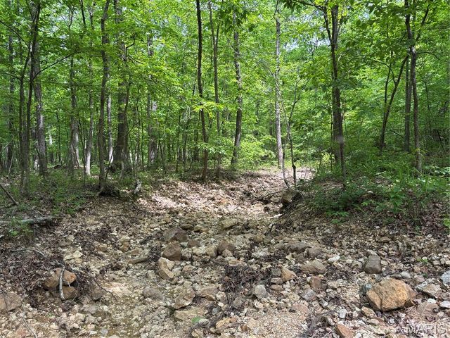 Private Road 9302, Marquand, MO 63655
