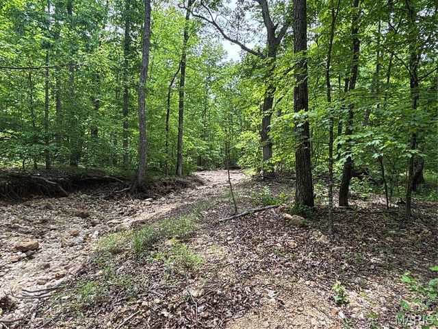 Private Road 9302, Marquand, MO 63655
