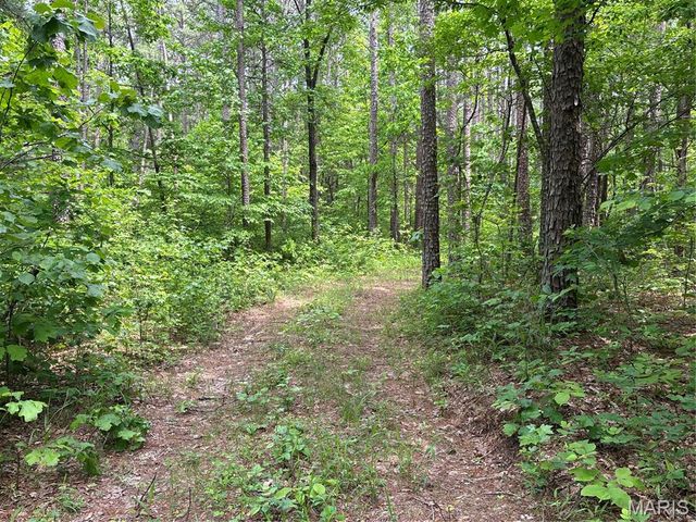 Private Road 9302, Marquand, MO 63655