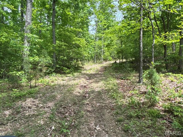 Private Road 9302, Marquand, MO 63655