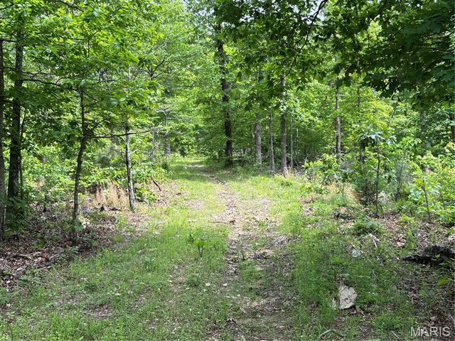 Private Road 9302, Marquand, MO 63655