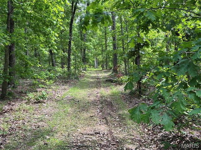 Private Road 9302, Marquand, MO 63655
