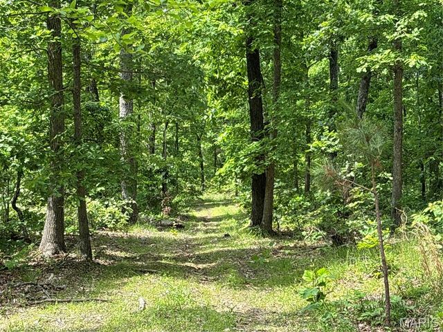 Private Road 9302, Marquand, MO 63655