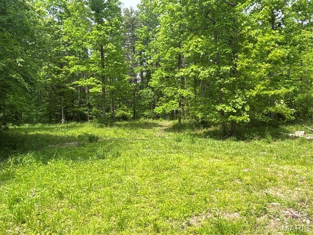 Private Road 9302, Marquand, MO 63655