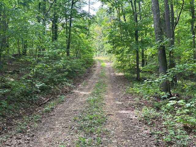 Private Road 9302, Marquand, MO 63655