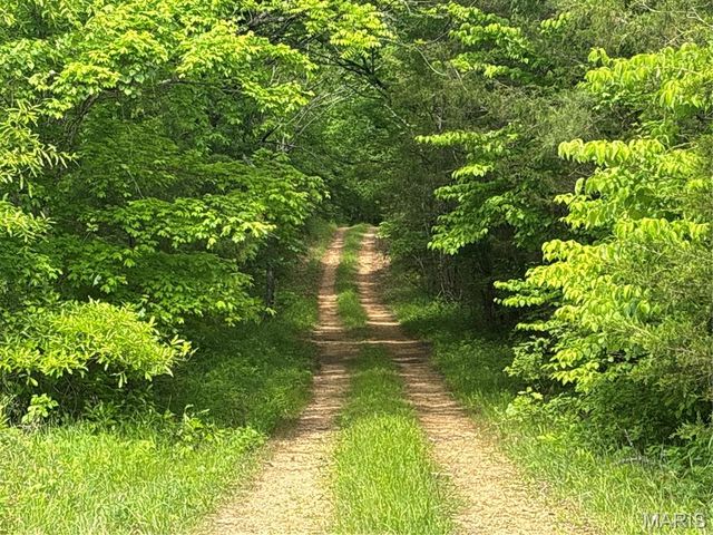 Private Road 9302, Marquand, MO 63655