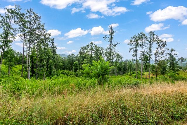 Lot 128 Twisted Oak Road, Talking Rock, GA 30175