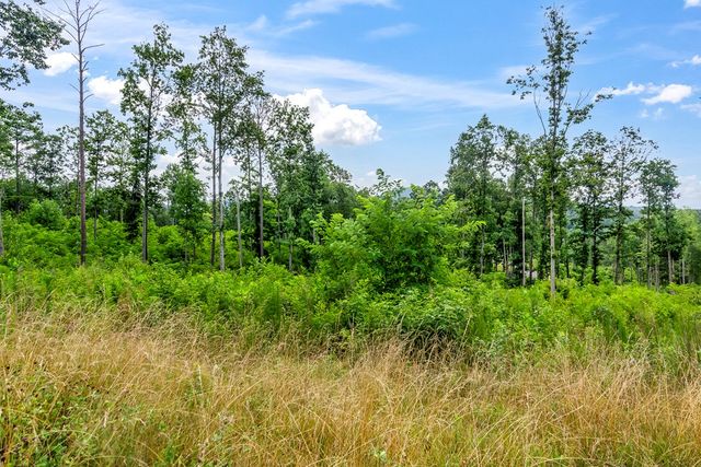 Lot 128 Twisted Oak Road, Talking Rock, GA 30175